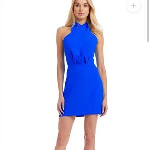 Amanda Uprichard Mezcal dress size small